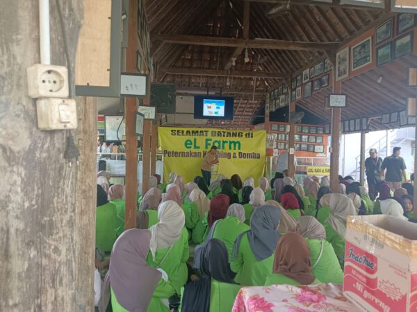 Mahasiswa Akuntansi Syariah FEBI UIN Walisongo Belajar Peternakan Modern di eL Farm Yogyakarta